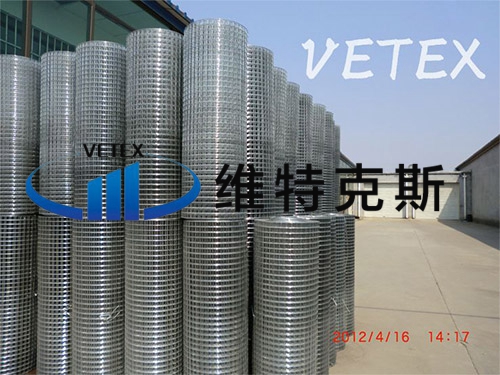 冷鍍鋅電焊網(wǎng)