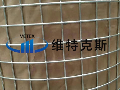 熱鍍鋅電焊網(wǎng)
