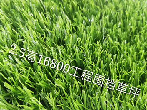 條縫篩板