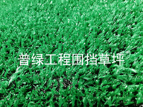 帶骨架濾片