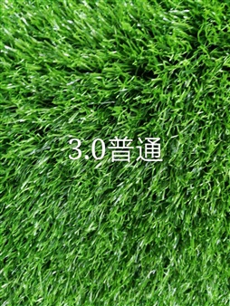 異形濾帽